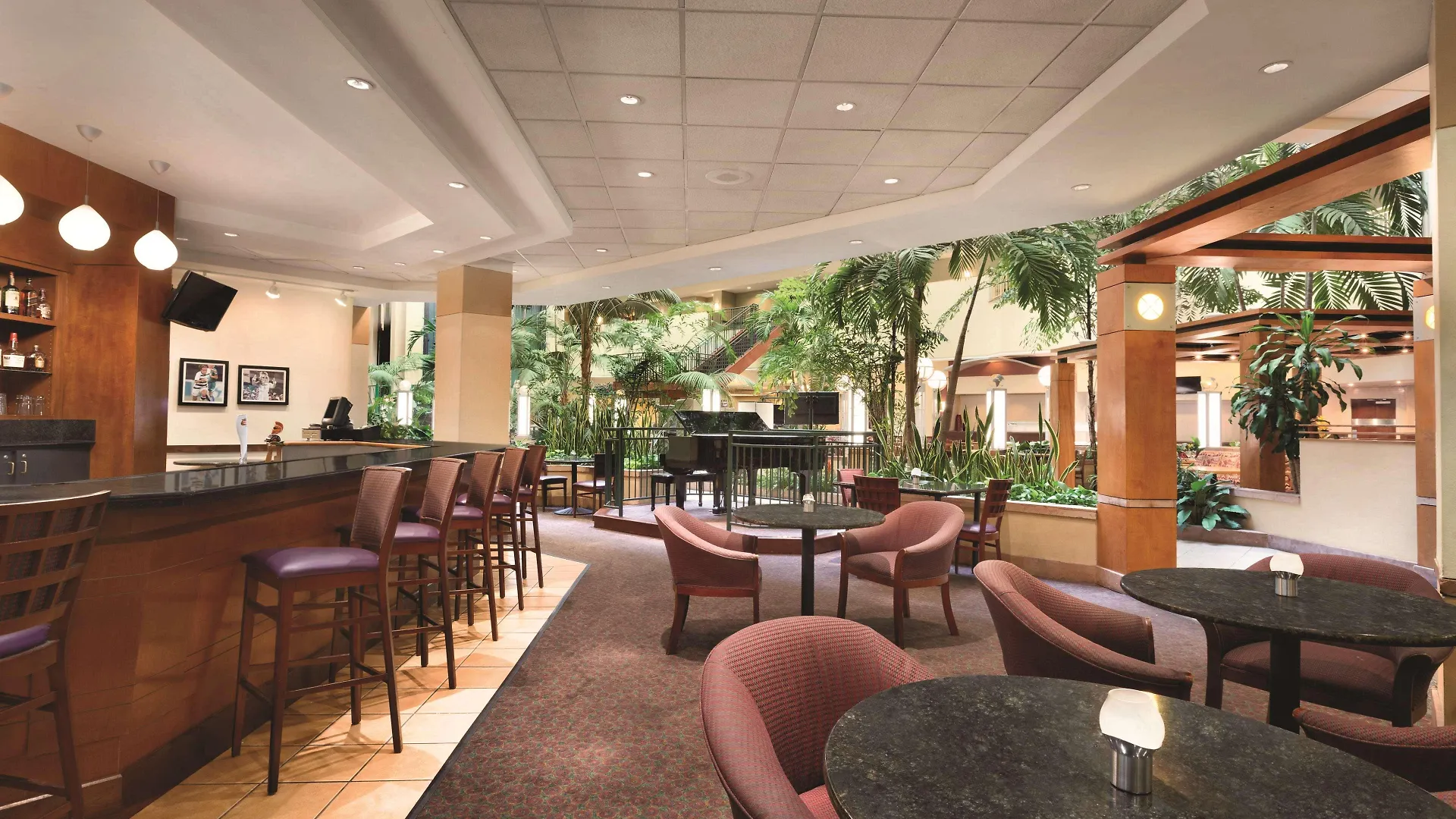 Embassy Suites By Hilton Tampa Usf Near Busch Gardens Hotel
