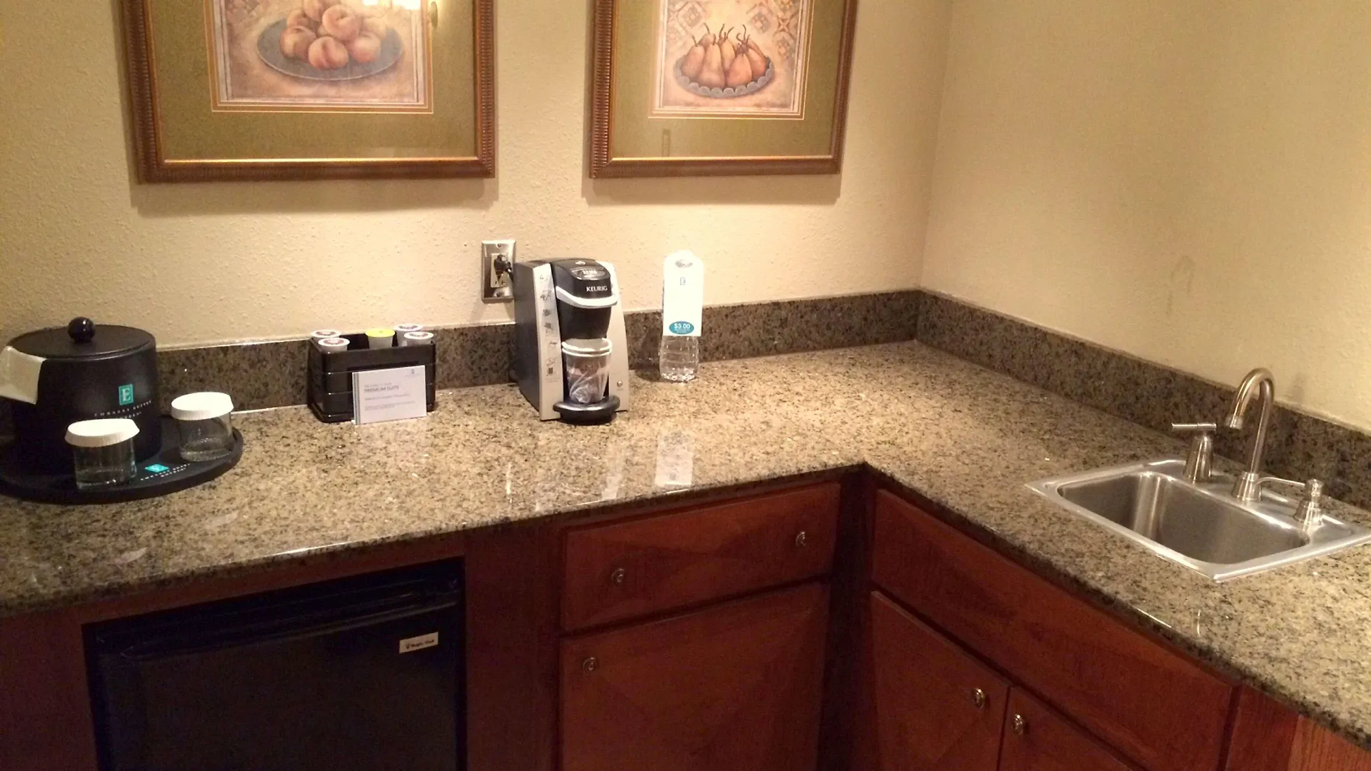 Hotel Embassy Suites By Hilton Tampa Usf Near Busch Gardens