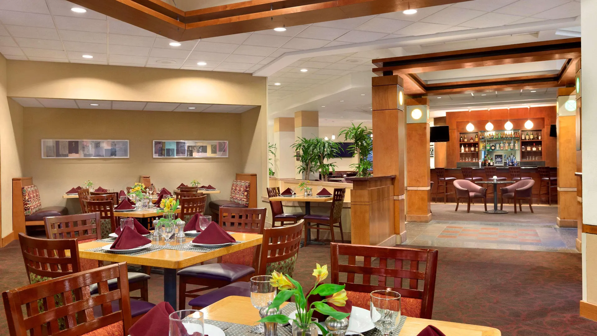 Embassy Suites By Hilton Tampa Usf Near Busch Gardens