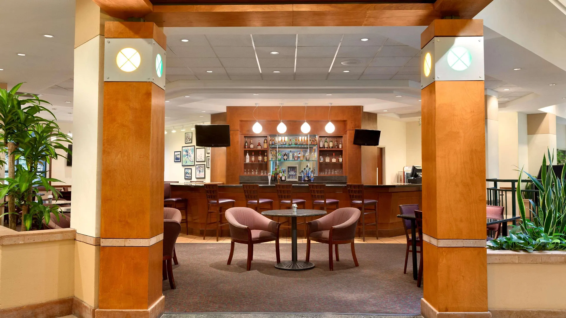 Hotel Embassy Suites By Hilton Tampa Usf Near Busch Gardens