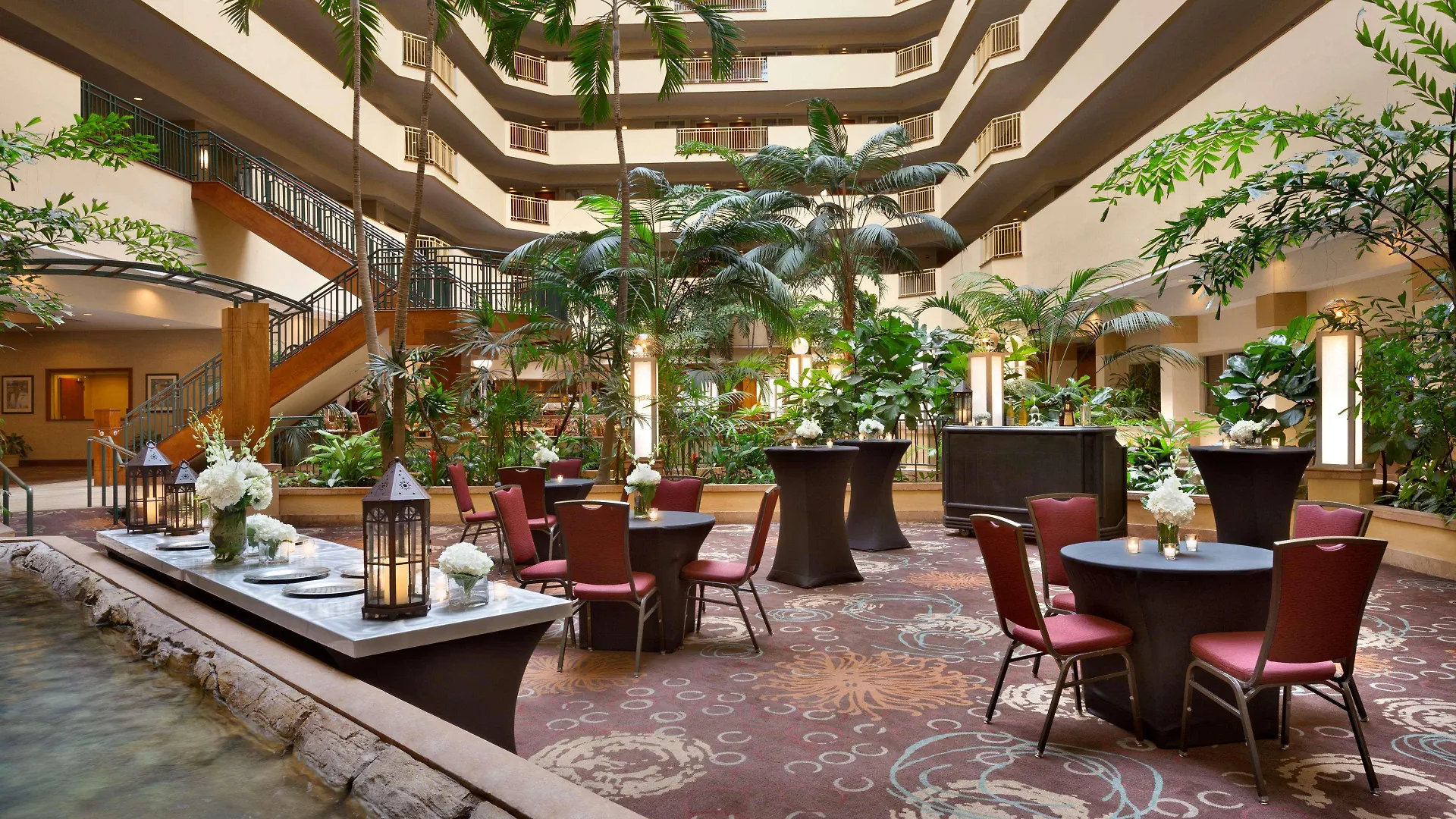 Embassy Suites By Hilton Tampa Usf Near Busch Gardens