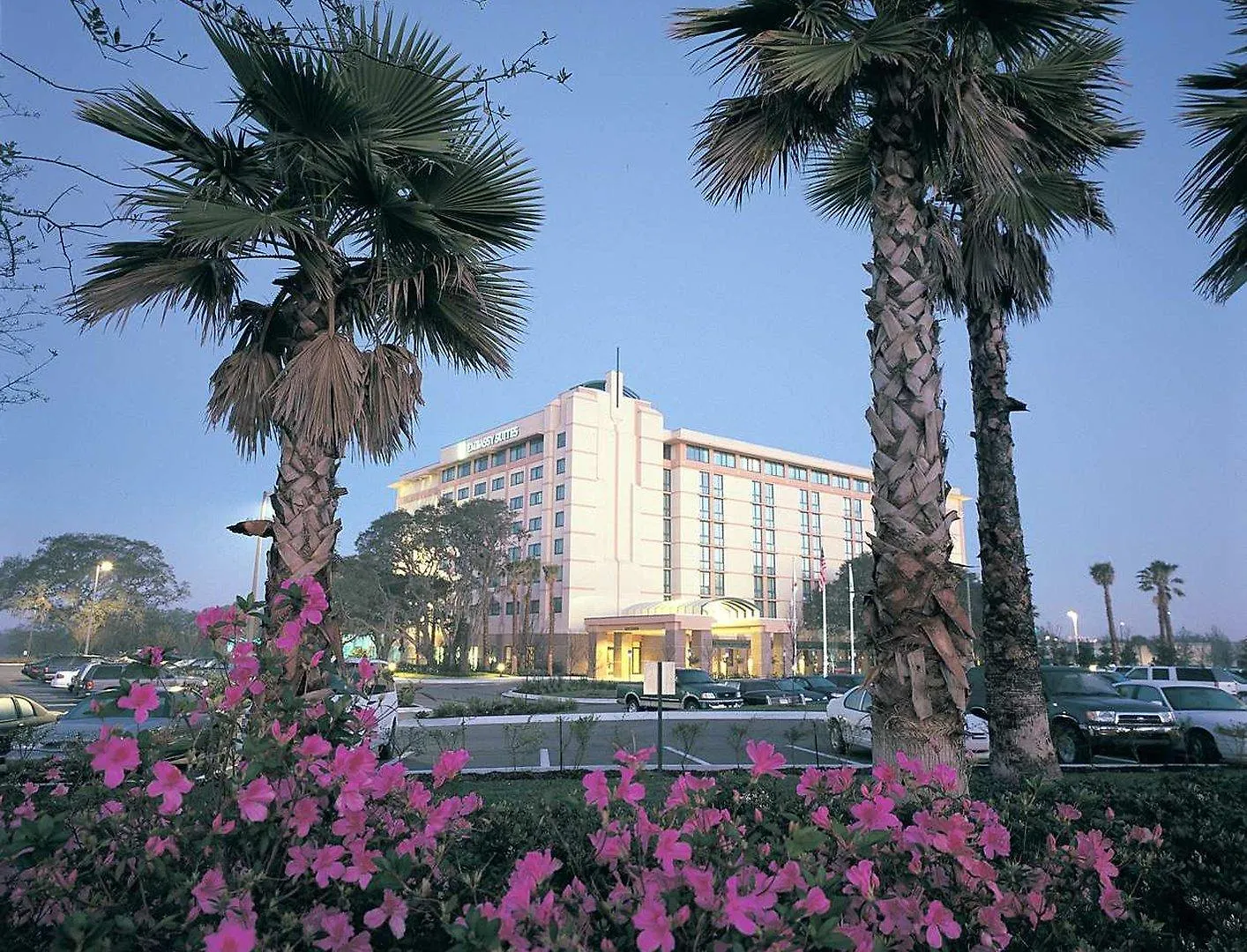 Embassy Suites By Hilton Tampa Usf Near Busch Gardens Hotel