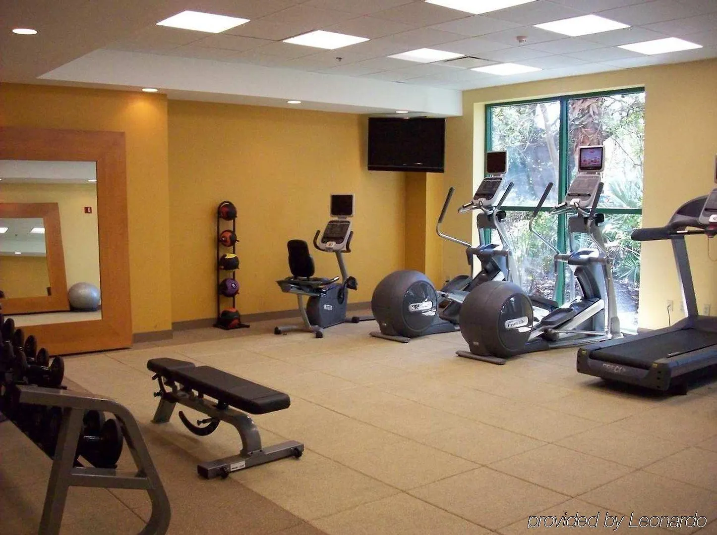 Hotel Embassy Suites By Hilton Tampa Usf Near Busch Gardens