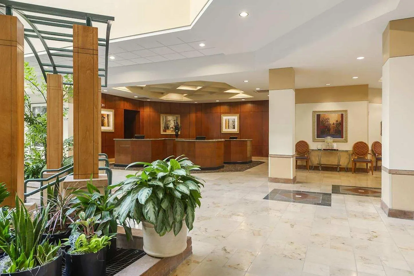 Hotel Embassy Suites By Hilton Tampa Usf Near Busch Gardens